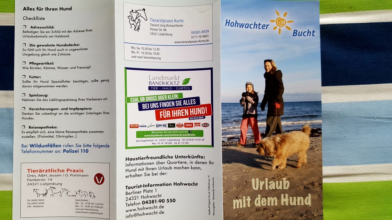 hundeflyer